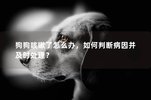 狗狗咳嗽了怎么辦，如何判斷病因并及時處理？