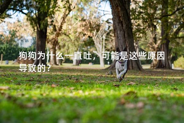 狗狗為什么一直吐，可能是這些原因導致的？