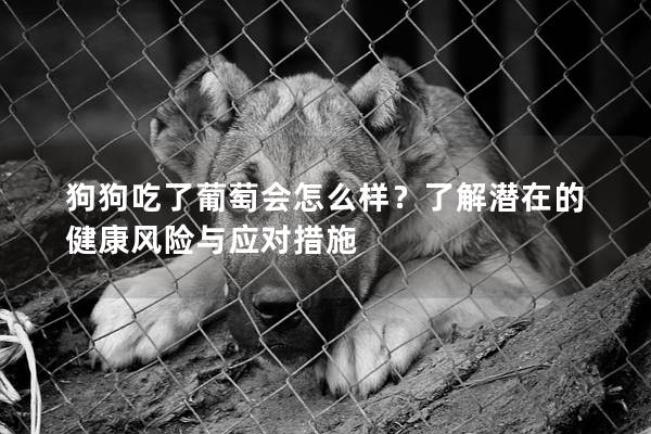 狗狗吃了葡萄會怎么樣？了解潛在的健康風險與應對措施