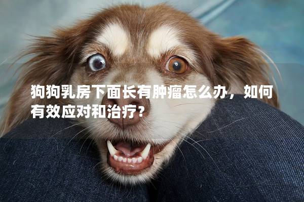 狗狗乳房下面長有腫瘤怎么辦，如何有效應對和治療？