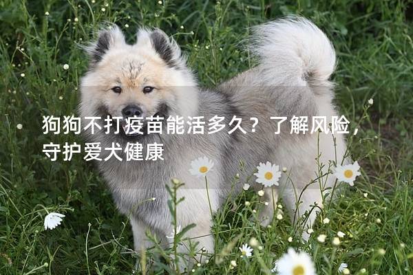 狗狗不打疫苗能活多久？了解風險，守護愛犬健康
