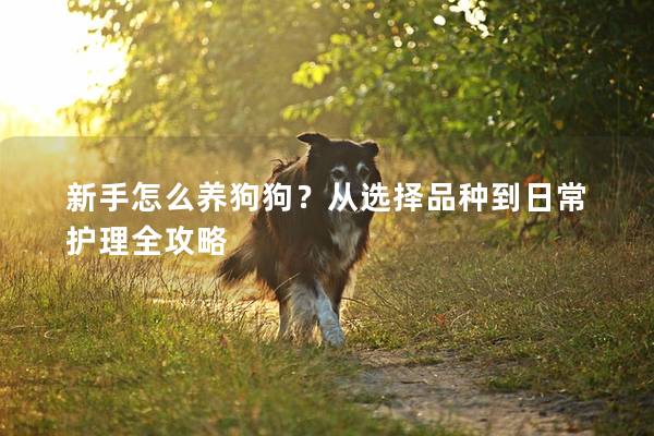 新手怎么養狗狗？從選擇品種到日常護理全攻略