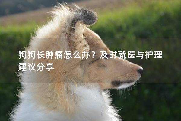 狗狗長腫瘤怎么辦？及時就醫與護理建議分享