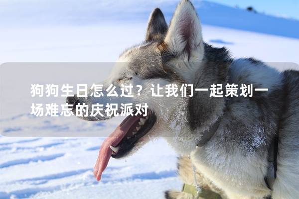 狗狗生日怎么過?讓我們一起策劃一場難忘的慶祝派對(duì) 狗狗生日怎么過?讓我們一起策劃一場難忘的慶祝派對(duì)