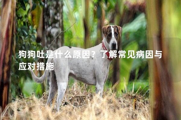 狗狗吐是什么原因？了解常見病因與應對措施