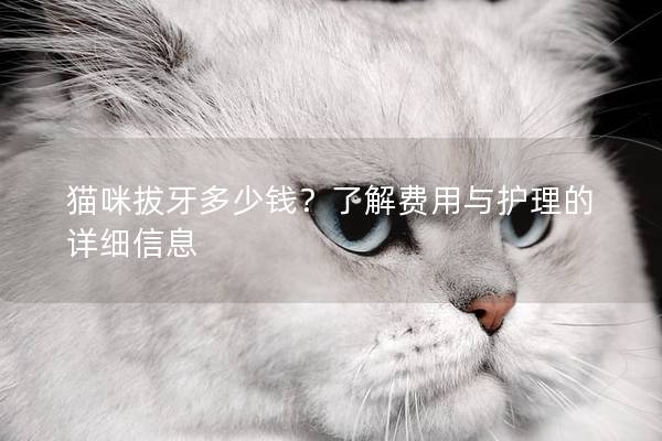 貓咪拔牙多少錢?了解費(fèi)用與護(hù)理的詳細(xì)信息 貓咪拔牙多少錢?了解費(fèi)用與護(hù)理的詳細(xì)信息