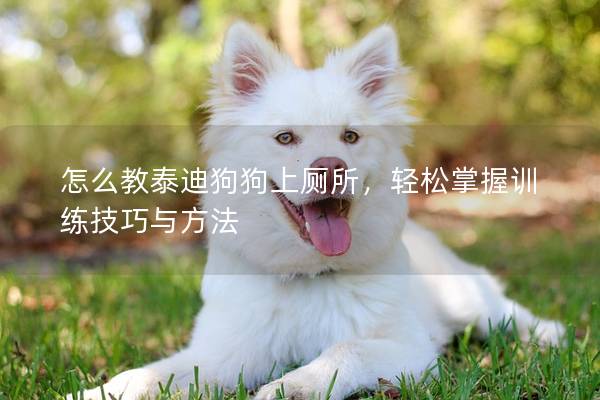 怎么教泰迪狗狗上廁所，輕松掌握訓(xùn)練技巧與方法