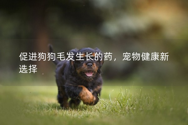 促進狗狗毛發生長的藥，寵物健康新選擇