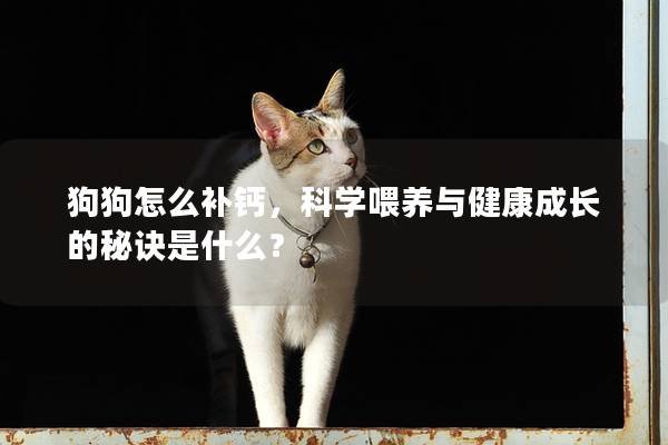 狗狗怎么補鈣,科學喂養與健康成長的秘訣是什么? 狗狗怎么補鈣,科學喂養與健康成長的秘訣是什么?