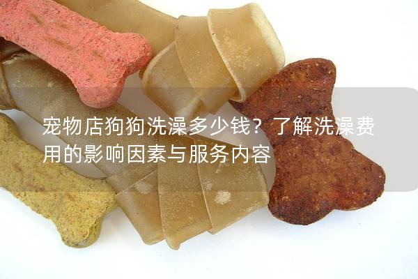 寵物店狗狗洗澡多少錢？了解洗澡費用的影響因素與服務內容