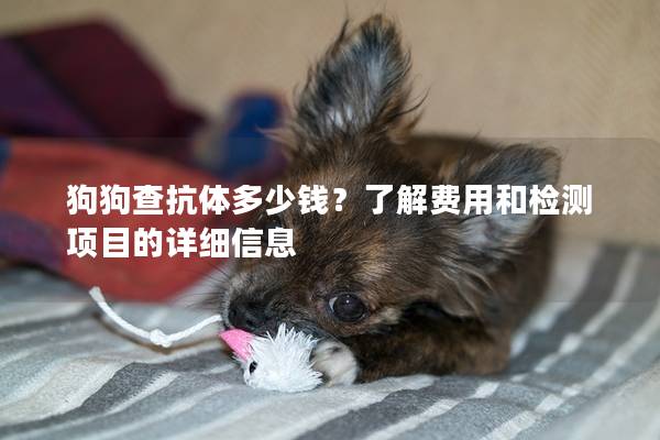 狗狗查抗體多少錢？了解費用和檢測項目的詳細信息