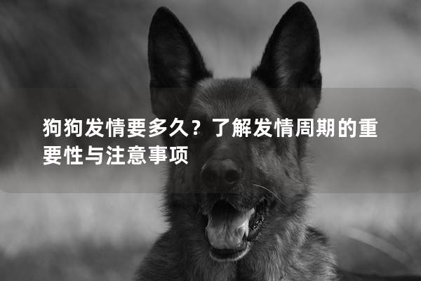 狗狗發(fā)情要多久？了解發(fā)情周期的重要性與注意事項(xiàng)