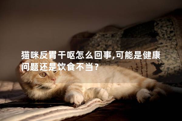 貓咪反胃干嘔怎么回事,可能是健康問題還是飲食不當？