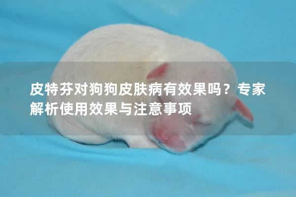 皮特芬對狗狗皮膚病有效果嗎?專家解析使用效果與注意事項 皮特芬對狗狗皮膚病有效果嗎?專家解析使用效果與注意事項