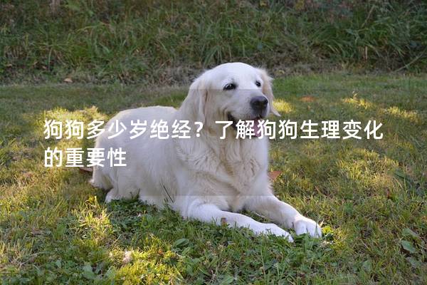 狗狗多少歲絕經(jīng)?了解狗狗生理變化的重要性 狗狗多少歲絕經(jīng)?了解狗狗生理變化的重要性