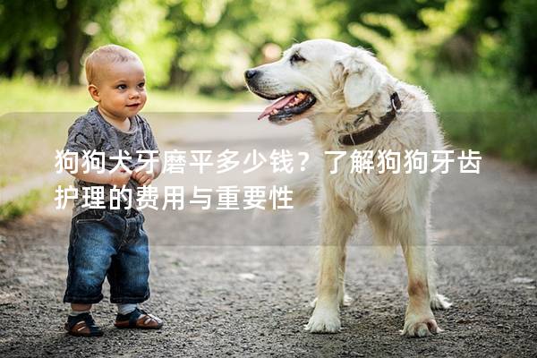 狗狗犬牙磨平多少錢?了解狗狗牙齒護理的費用與重要性 狗狗犬牙磨平多少錢?了解狗狗牙齒護理的費用與重要性