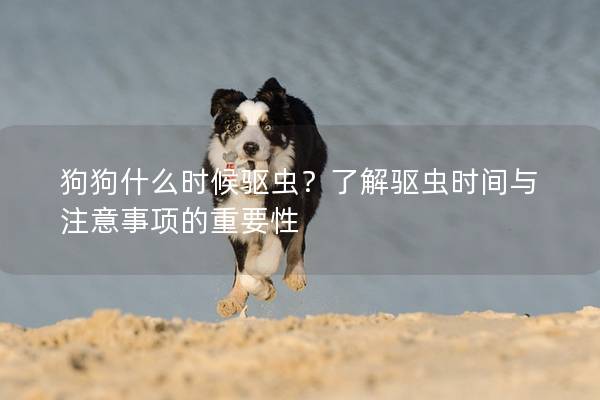 狗狗什么時候驅蟲？了解驅蟲時間與注意事項的重要性