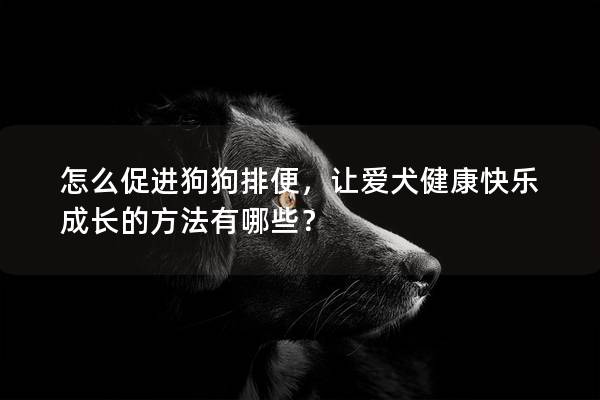 怎么促進狗狗排便，讓愛犬健康快樂成長的方法有哪些？