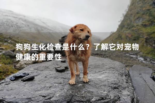 狗狗生化檢查是什么?了解它對寵物健康的重要性 狗狗生化檢查是什么?了解它對寵物健康的重要性
