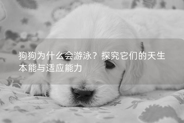 狗狗為什么會游泳？探究它們的天生本能與適應能力