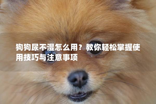狗狗尿不濕怎么用？教你輕松掌握使用技巧與注意事項
