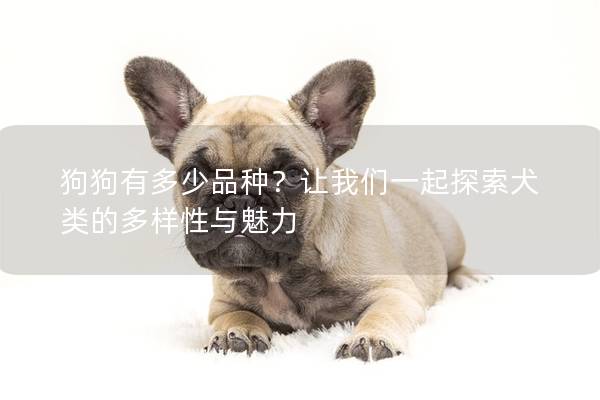 狗狗有多少品種？讓我們一起探索犬類的多樣性與魅力