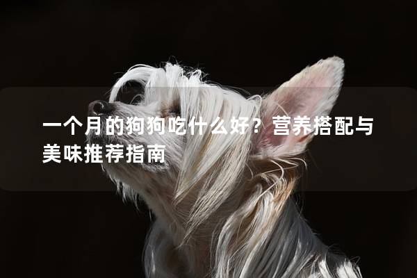 一個(gè)月的狗狗吃什么好？營(yíng)養(yǎng)搭配與美味推薦指南