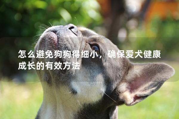 怎么避免狗狗得細(xì)小，確保愛犬健康成長的有效方法