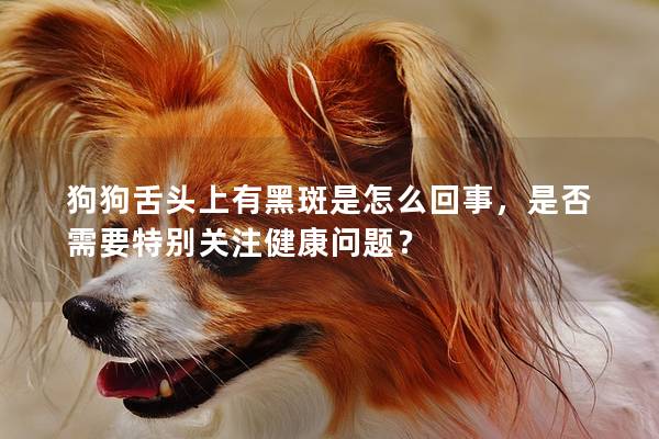 狗狗舌頭上有黑斑是怎么回事，是否需要特別關注健康問題？