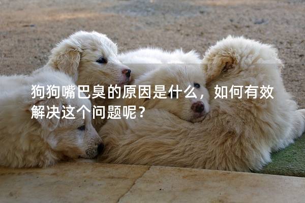 狗狗嘴巴臭的原因是什么，如何有效解決這個(gè)問題呢？