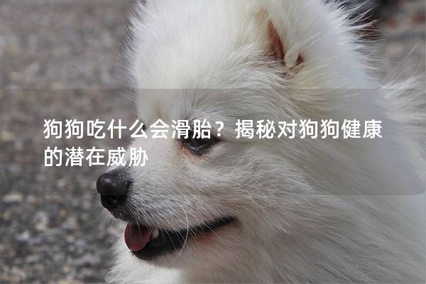 狗狗吃什么會滑胎？揭秘對狗狗健康的潛在威脅
