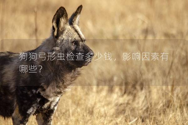 狗狗弓形蟲檢查多少錢，影響因素有哪些？