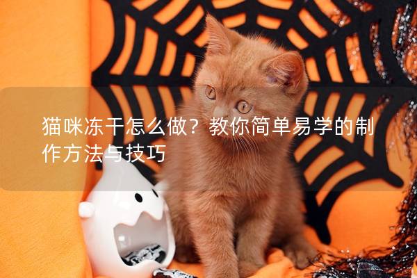 貓咪凍干怎么做？教你簡單易學的制作方法與技巧