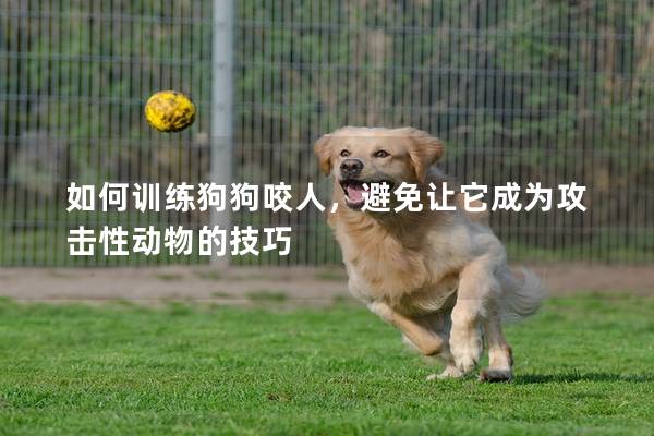 如何訓練狗狗咬人，避免讓它成為攻擊性動物的技巧