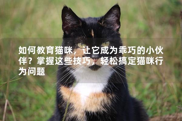 如何教育貓咪,讓它成為乖巧的小伙伴?掌握這些技巧,輕松搞定貓咪行為問題 如何教育貓咪,讓它成為乖巧的小伙伴?掌握這些技巧,輕松搞定貓咪行為問題