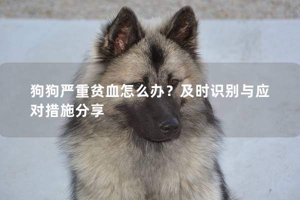 狗狗嚴重貧血怎么辦？及時識別與應對措施分享