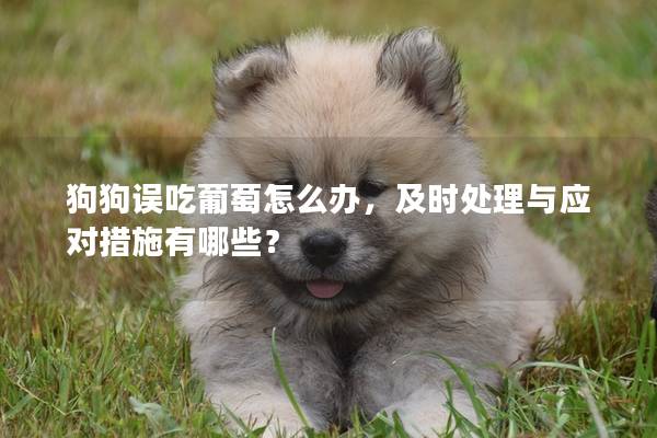 狗狗誤吃葡萄怎么辦，及時處理與應對措施有哪些？