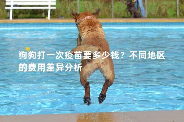 狗狗打一次疫苗要多少錢？不同地區的費用差異分析