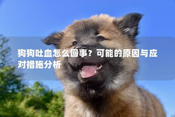 狗狗吐血怎么回事？可能的原因與應對措施分析