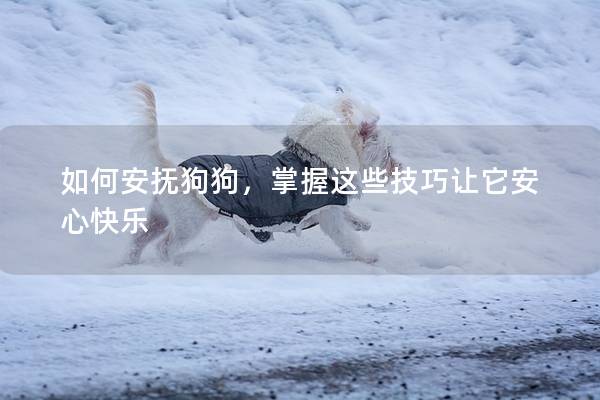 如何安撫狗狗,掌握這些技巧讓它安心快樂 如何安撫狗狗,掌握這些技巧讓它安心快樂