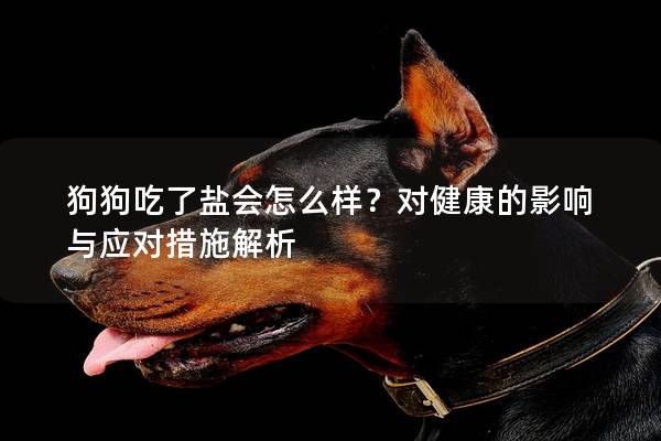狗狗吃了鹽會怎么樣？對健康的影響與應對措施解析