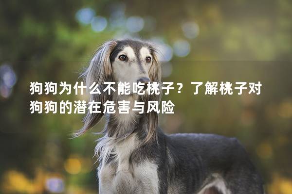 狗狗為什么不能吃桃子？了解桃子對狗狗的潛在危害與風險