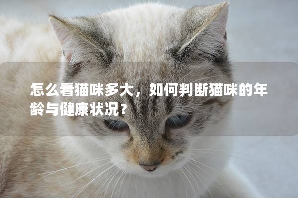 怎么看貓咪多大，如何判斷貓咪的年齡與健康狀況？