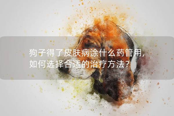 狗子得了皮膚病涂什么藥管用, 如何選擇合適的治療方法？
