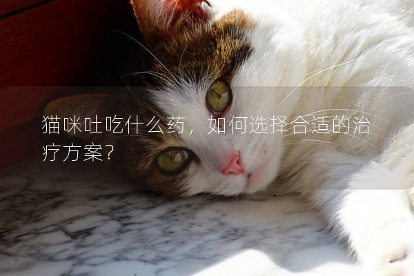 貓咪吐吃什么藥，如何選擇合適的治療方案？
