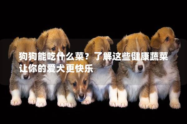 狗狗能吃什么菜？了解這些健康蔬菜讓你的愛犬更快樂