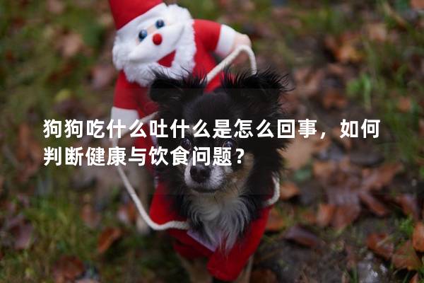 狗狗吃什么吐什么是怎么回事,如何判斷健康與飲食問題? 狗狗吃什么吐什么是怎么回事,如何判斷健康與飲食問題?