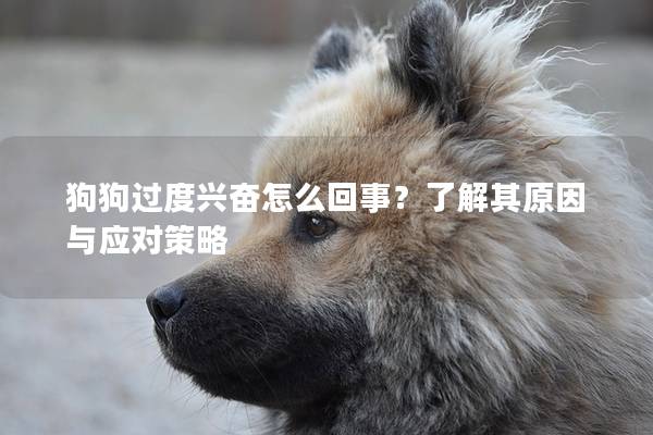 狗狗過(guò)度興奮怎么回事？了解其原因與應(yīng)對(duì)策略