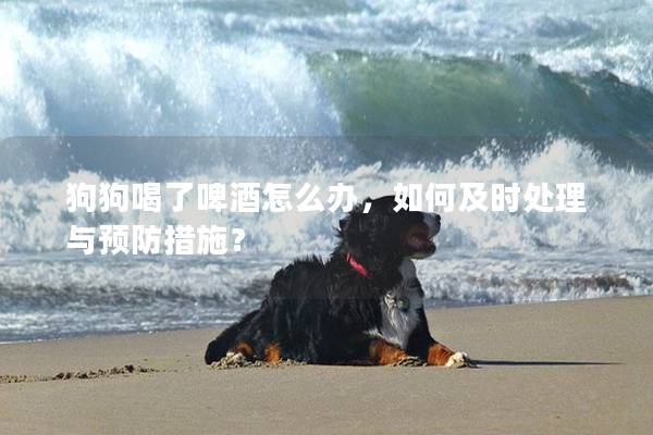狗狗喝了啤酒怎么辦，如何及時處理與預防措施？