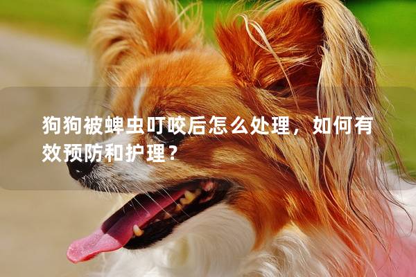 狗狗被蜱蟲叮咬后怎么處理，如何有效預防和護理？